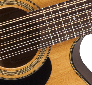 Takamine GD30CE-12N