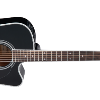 Takamine EF341SC w/Softcase